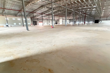 Xt204 Cho Thuê Nhà Xưởng Kiên Cố, Đáp Ứng Linh Hoạt Ngành Nghề, Khung Thép Kiên Cố