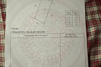 Cần Bán Gấp Lô Đất 505M² Kèm Xưởng Gỗ Và 2 Căn Bán Ta Bỉm - Giá Chỉ 5,3 Tỷ