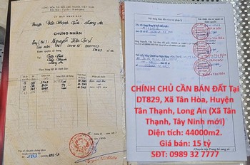 Hot Đầu Tư Sinh Lời – Chính Chủ Cần Bán Đất Tại Xã Tân Hòa, Huyện Tân Thạnh, Long An