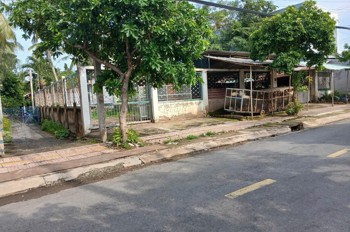 Đầu Tư Sinh Lời – Chính Chủ Cần Bán 3 Lô Đất Xã Phước Vân, Cần Đước, Long An