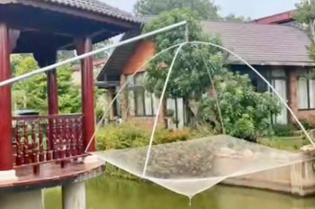 Cho Thuê Hoặc Bán Biệt Thự Nhà Vườn Mặt Tiền Đường Long Thuận