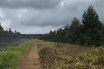 10Ha Sầu Riêng Thái Năm 4 - Đắk Đoa, Gia Lai - 2.000 Cây, Đất Đỏ Bằng Phẳng - Giá 40 Tỷ