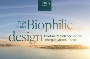 Sao Phải Chi 15 Tỷ Mua Chung Cư Nội Đô Khi Chỉ Từ 5,5 Tỷ Đã Sở Hữu Dinh Thự 3Pn Sát Biển?