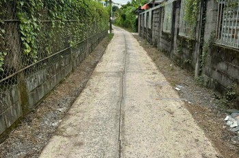 Cần Bán 427M2 14X25 Có 4 Căn Nhà Cấp 4 Hẻm Xe Hơi 1/ Bùi Thanh Khiết