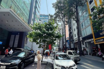 Sản Phẩm Tốt Cho Khách Đầu Tư - Bán Nhà Mặt Tiền Kinh Doanh Đường Bùi Thị Xuân Quận 1 - Giang