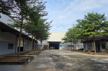 Xt212 Cho Thuê Sản Xuất Nhà Xưởng Lâu Dài, Khung Thép Lớn Thích Hợp Sx Cơ Khí. Giao Liền