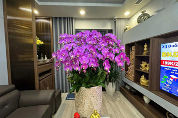 Chính Chủ Bán Căn D011004 – Diamond Palace, 25 Lê Văn Lương, Hà Nội